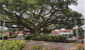 Royal Selangor Golf Club, Malaysia