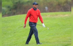 Surgery puts Tiger out of action