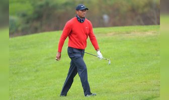 Surgery puts Tiger out of action
