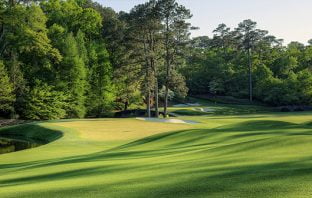 Hole No. 11 at Augusta National